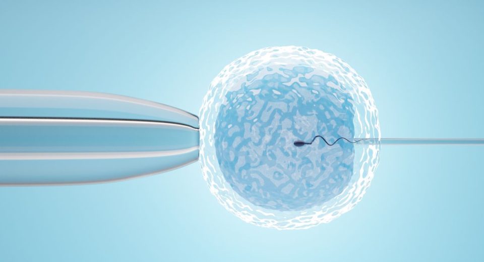 icsi vs ivf