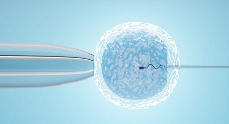 ivf treatment